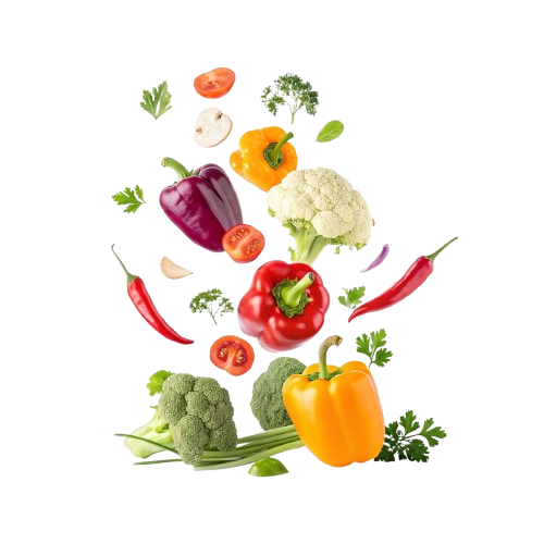 88f1808b-0b37-477c-bf20-8695dd459b32-removebg-preview