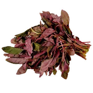 Rajgira Laal Hari Bhaji