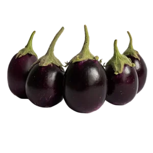 Small Purple Brinjal