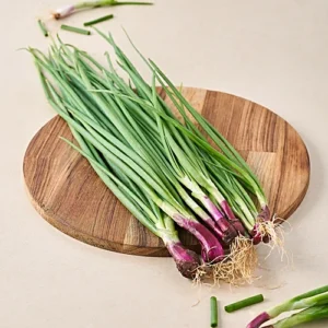 Spring Onion